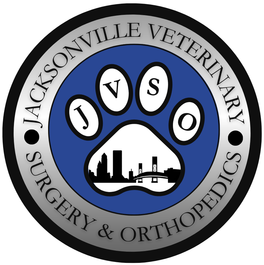 Jacksonville Veterinary Surgery & Orthopedics