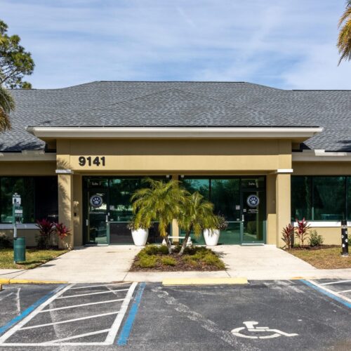 Jax_Vet_Surg_Neihaus_CosmopolitanImageCo_-049-scaled-500x500.jpg